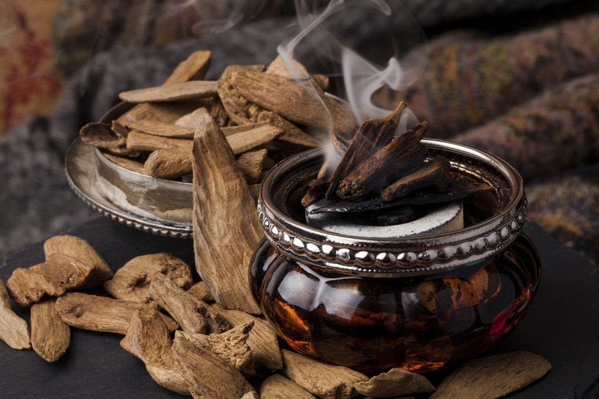 Aroma Kayu dalam Parfum: Menyuguhkan Kehangatan