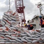 Thailand dan Vietnam Jadi Pemasok Tetap Beras untuk RI: