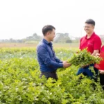 Agribank Ekosistem