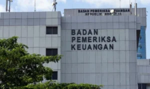 Badan Pengawasan Keuangan