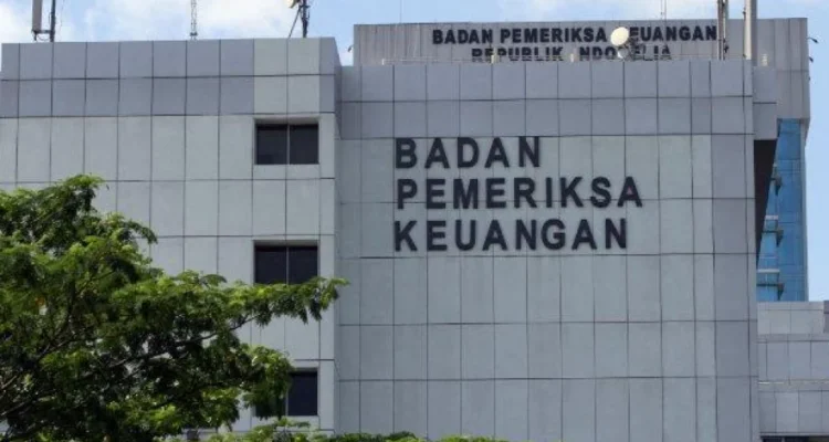 Badan Pengawasan Keuangan
